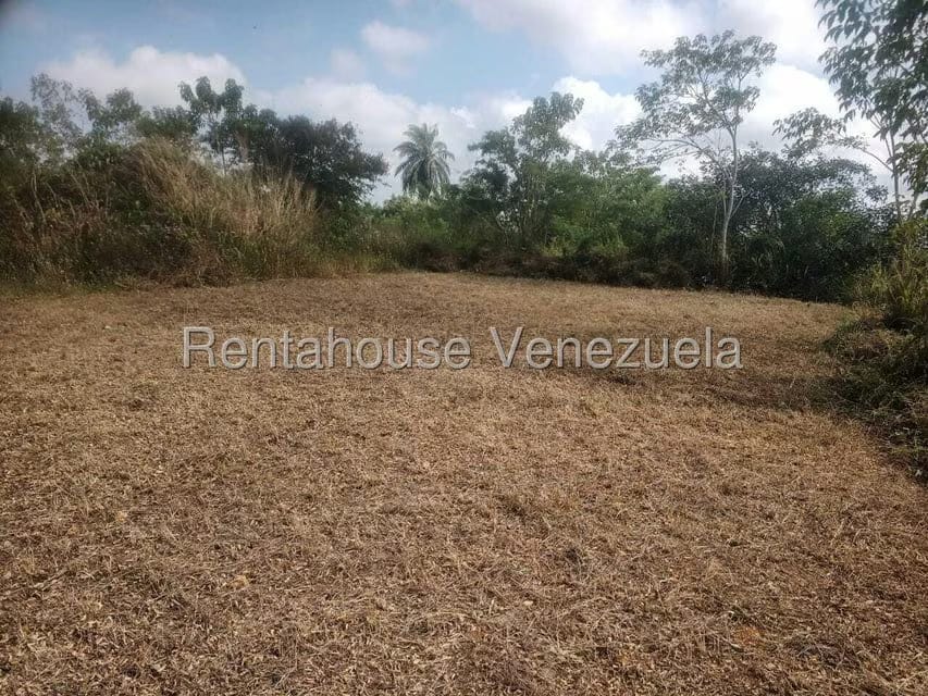 Terreno (Comercial) en Venta en La Mata, Lara - 7