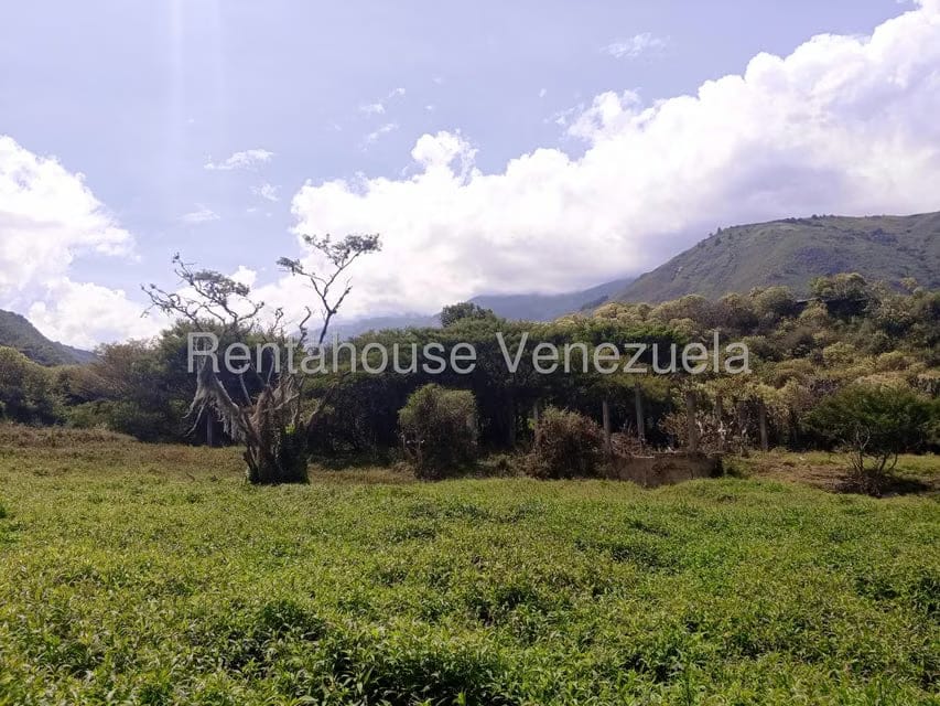 Terreno (Comercial) en Venta en Mucumis, Trujillo - 11