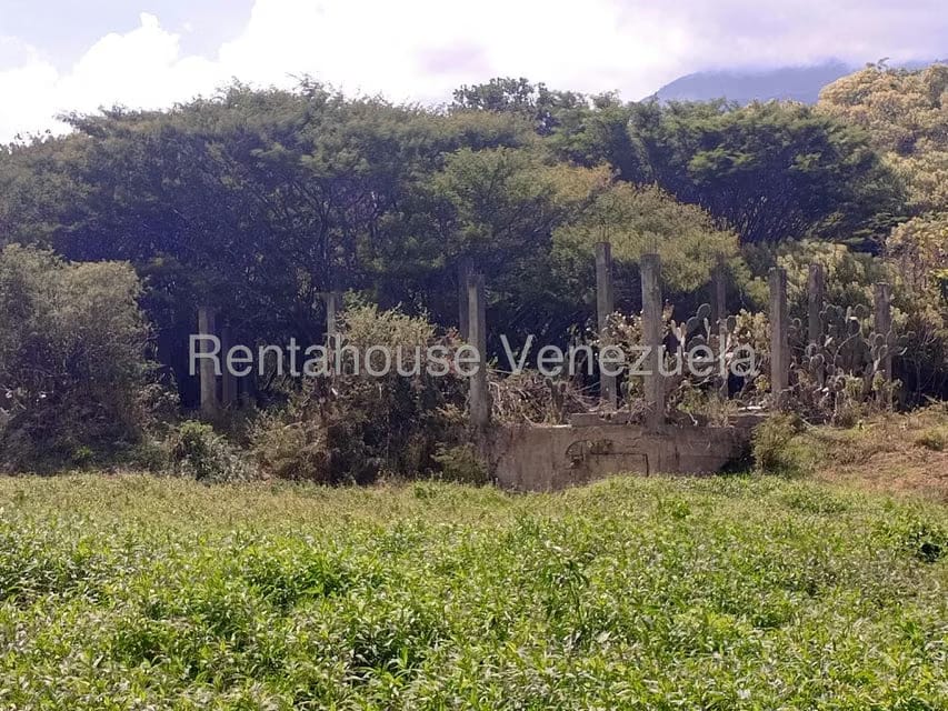 Terreno (Comercial) en Venta en Mucumis, Trujillo - 12