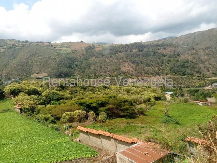 Terreno (Comercial) en Venta en Mucumis, Trujillo - 13