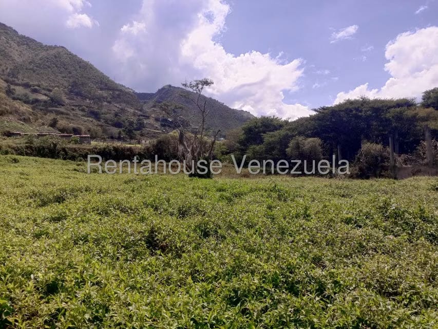 Terreno (Comercial) en Venta en Mucumis, Trujillo - 6