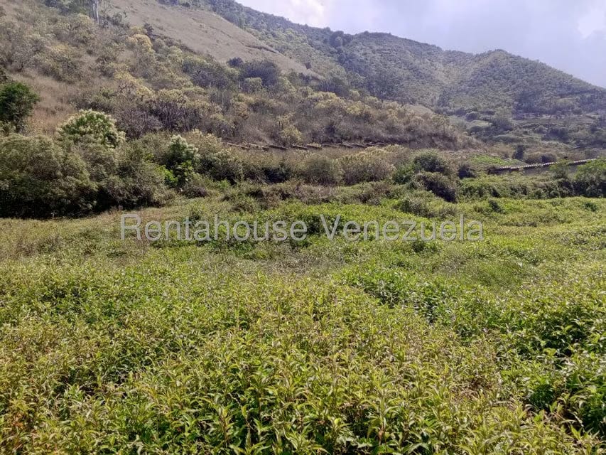 Terreno (Comercial) en Venta en Mucumis, Trujillo - 9