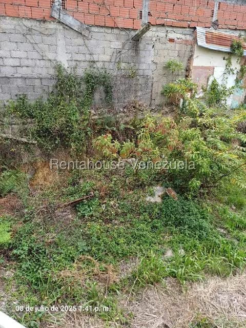 Comercial (Local Comercial) en Venta en Boleita Norte, Distrito Metropolitano - 11