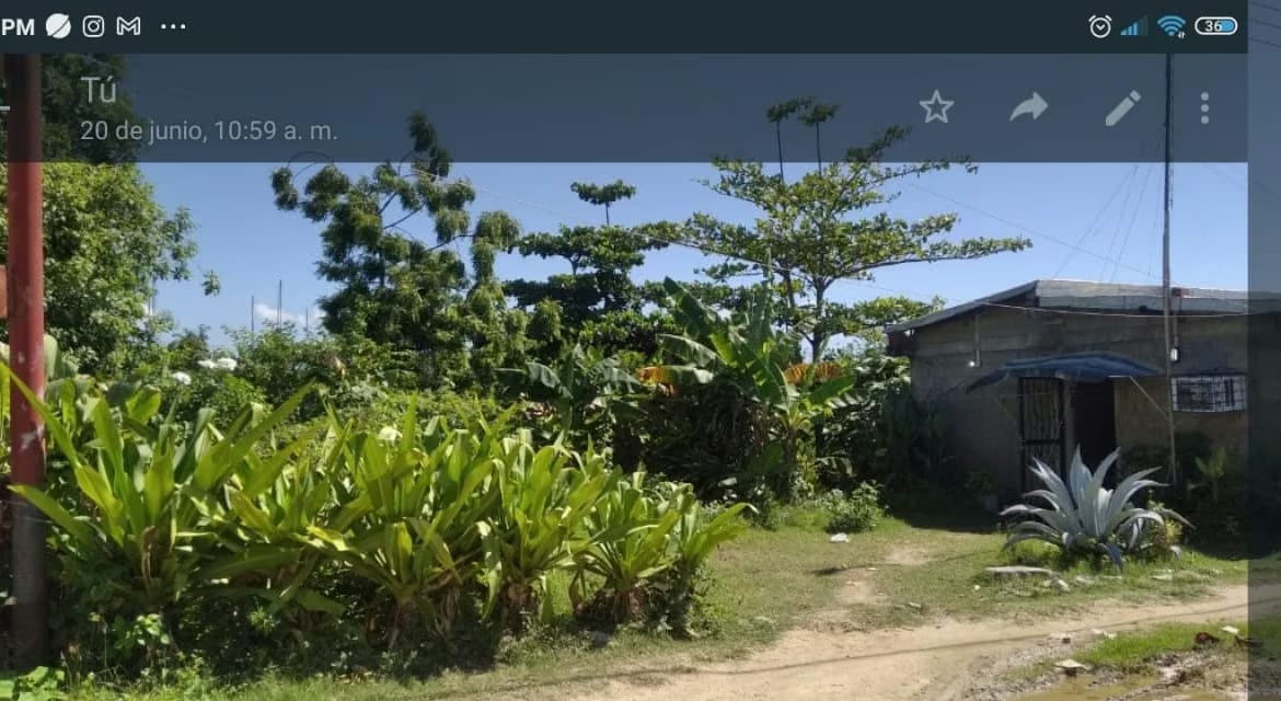 Casa para remodelar de 6 habitaciones y terreno de - 4