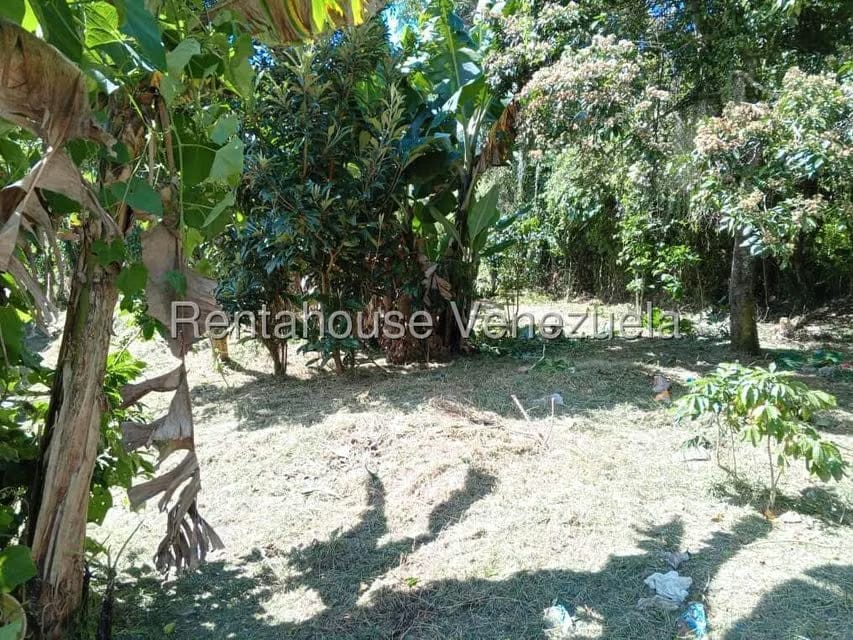 Terreno (Residencial) en Venta en Primera Sabana, Trujillo - 4