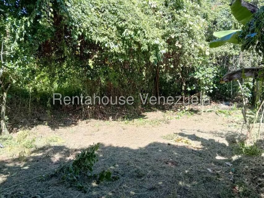 Terreno (Residencial) en Venta en Primera Sabana, Trujillo - 8