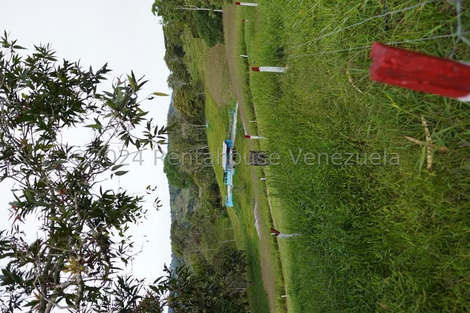 Casa (Casas de Campo) en Venta en Centro, Merida - 37