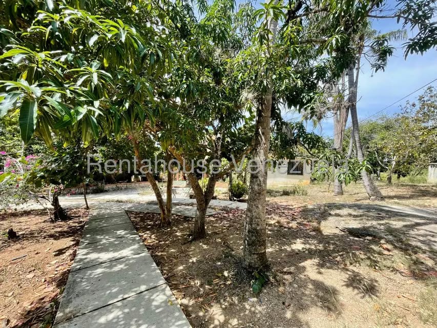 Comercial (Galpon - Deposito) en Venta en Agua Viva, Lara - 48
