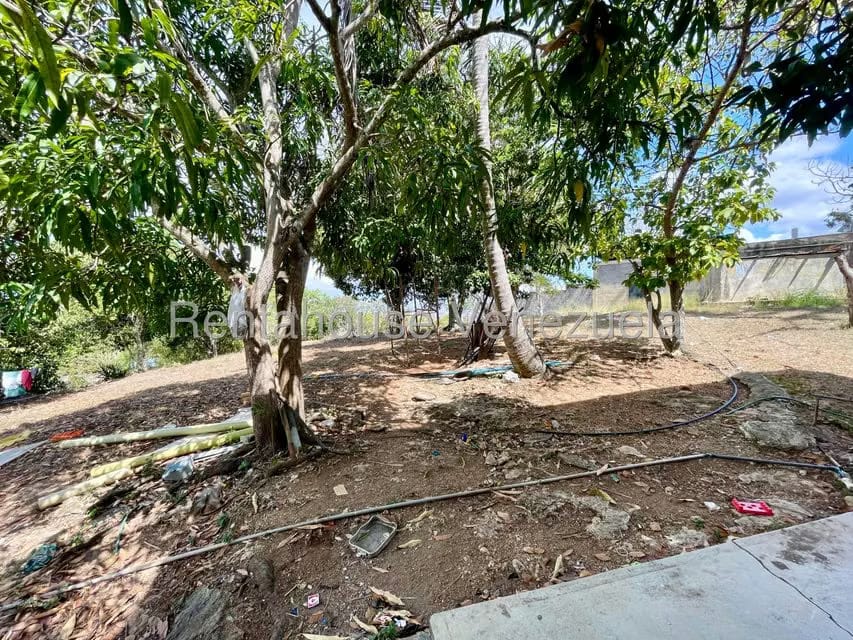 Comercial (Galpon - Deposito) en Venta en Agua Viva, Lara - 61