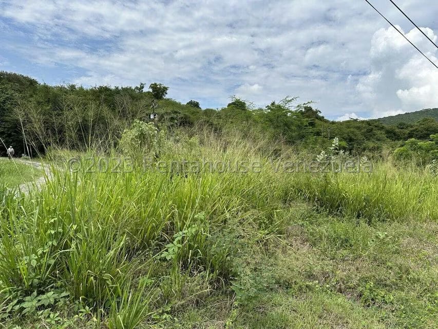 Terreno (Residencial) en Venta en Mara Country, Miranda - 20
