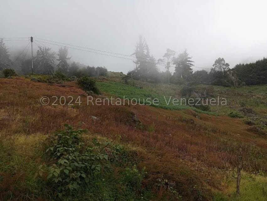 Casa (1 Nivel) en Venta en Pueblo Viejo, Merida - 31