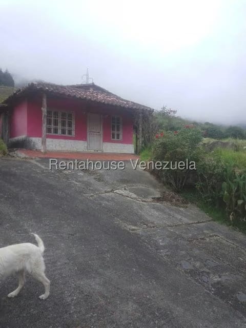Casa (1 Nivel) en Venta en Pueblo Viejo, Merida - 34