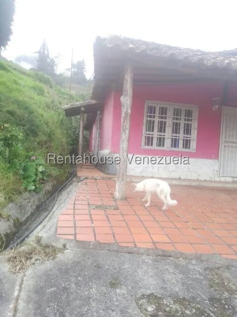 Casa (1 Nivel) en Venta en Pueblo Viejo, Merida - 37