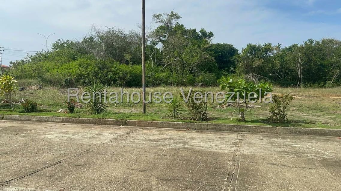 Comercial (Local Comercial) en Venta en Higuerote, Miranda - 10
