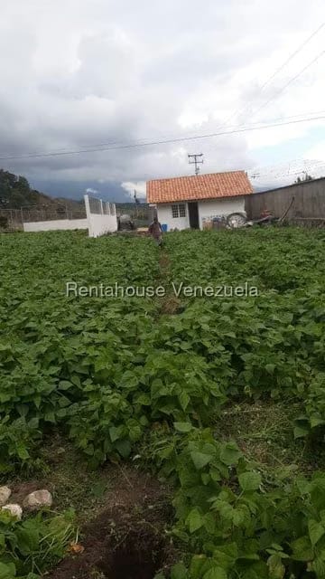 Casa (1 Nivel) en Venta en Casa de Teja, Merida - 13