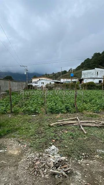 Casa (1 Nivel) en Venta en Casa de Teja, Merida - 18