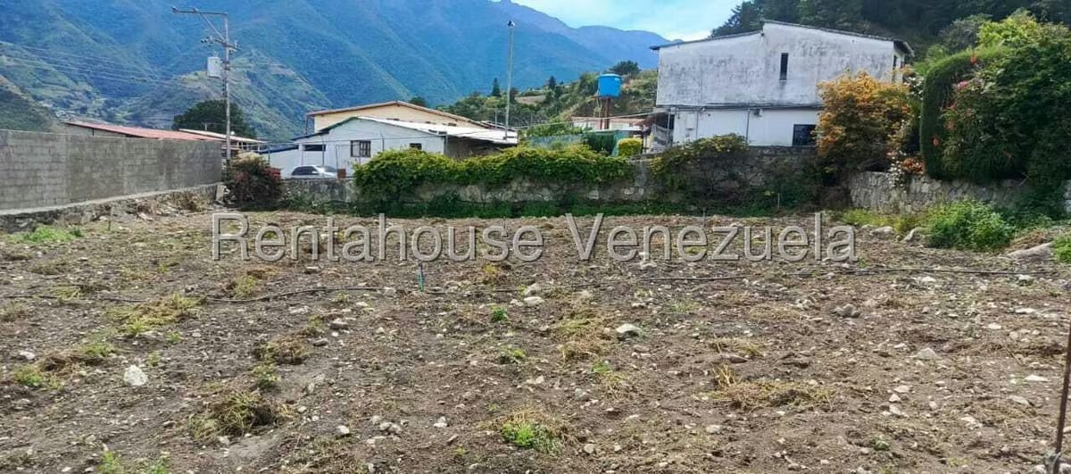 Casa (1 Nivel) en Venta en Casa de Teja, Merida - 4