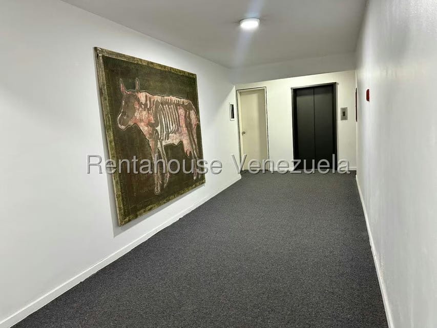 Apartamento (1 Nivel) en Alquiler en Colinas de Bello Monte, Distrito Metropolitano - 4