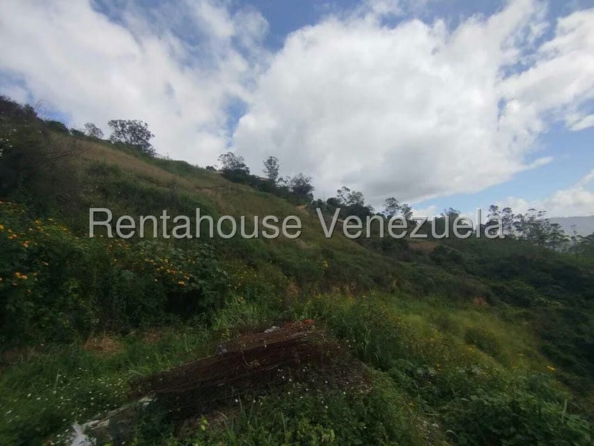 Terreno (Comercial) en Venta en El Junquito, Distrito Metropolitano - 17
