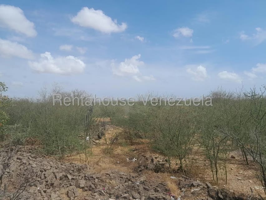 Comercial (Galpon - Deposito) en Venta en Monsenor Iturriza, Falcon - 18
