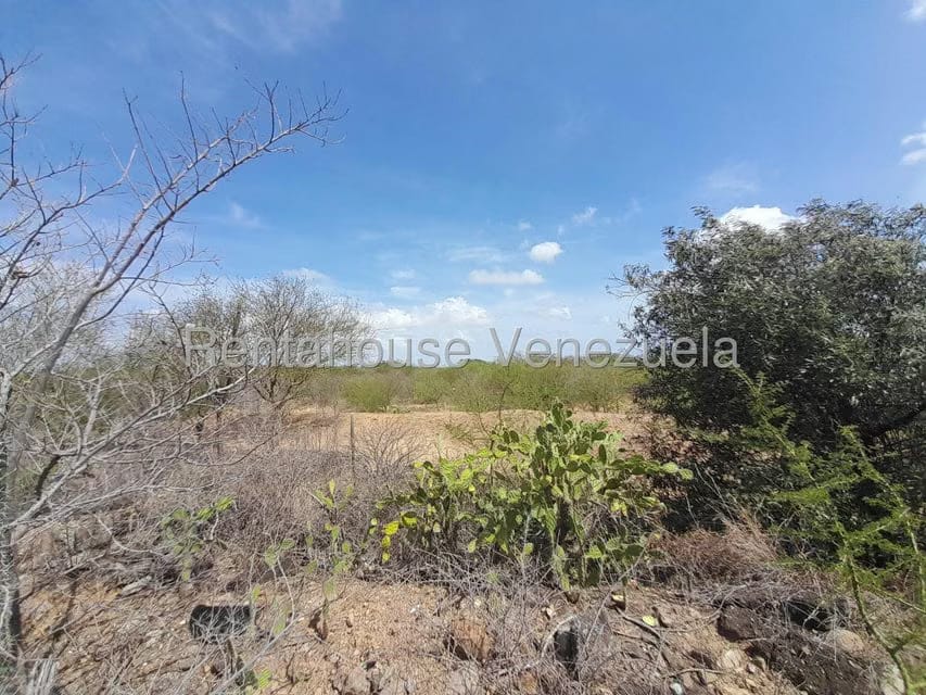 Comercial (Galpon - Deposito) en Venta en Monsenor Iturriza, Falcon - 19