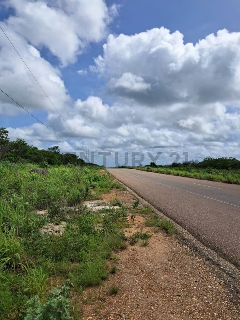 Terreno en venta Cantaura - 2