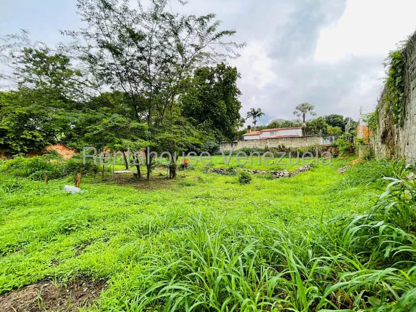 Terreno (Comercial) en Venta en El Limon, Aragua - 2