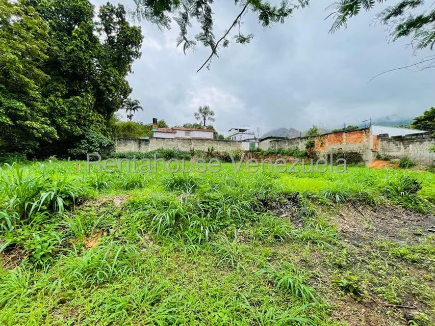 Terreno (Comercial) en Venta en El Limon, Aragua - 13