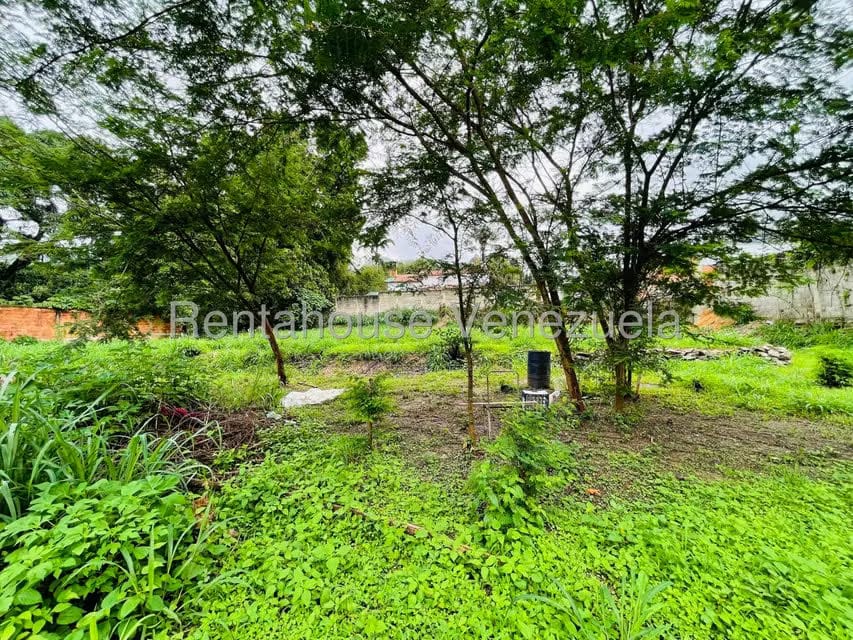 Terreno (Comercial) en Venta en El Limon, Aragua - 14