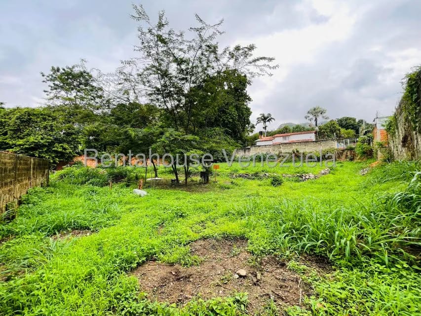 Terreno (Comercial) en Venta en El Limon, Aragua - 15