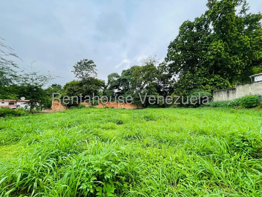 Terreno (Comercial) en Venta en El Limon, Aragua - 4