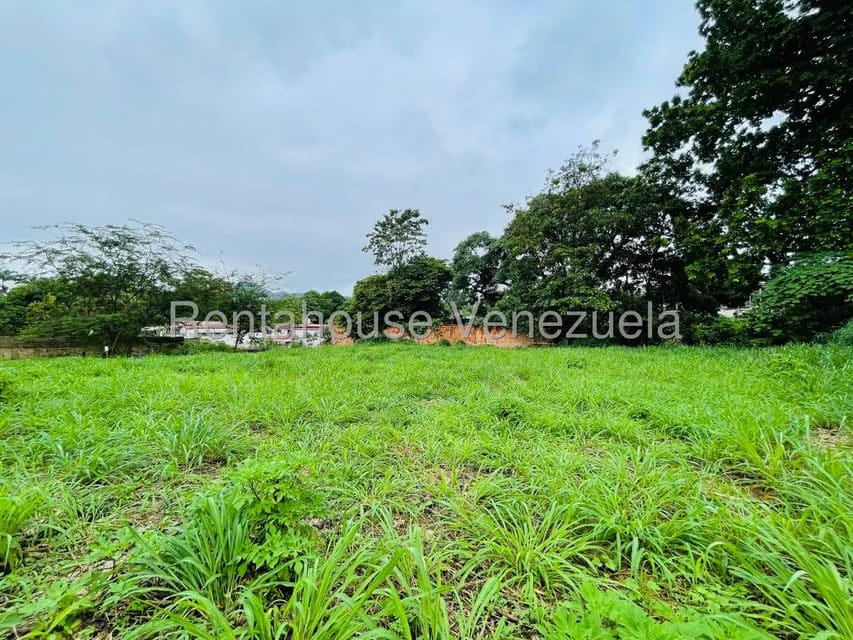 Terreno (Comercial) en Venta en El Limon, Aragua - 5