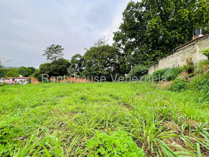 Terreno (Comercial) en Venta en El Limon, Aragua - 6
