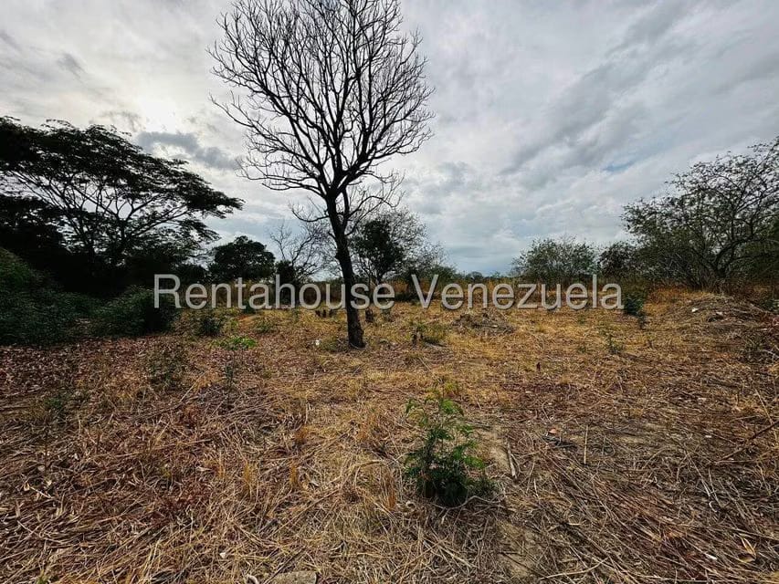 Casa (1 Nivel) en Venta en Corinsa, Aragua - 34