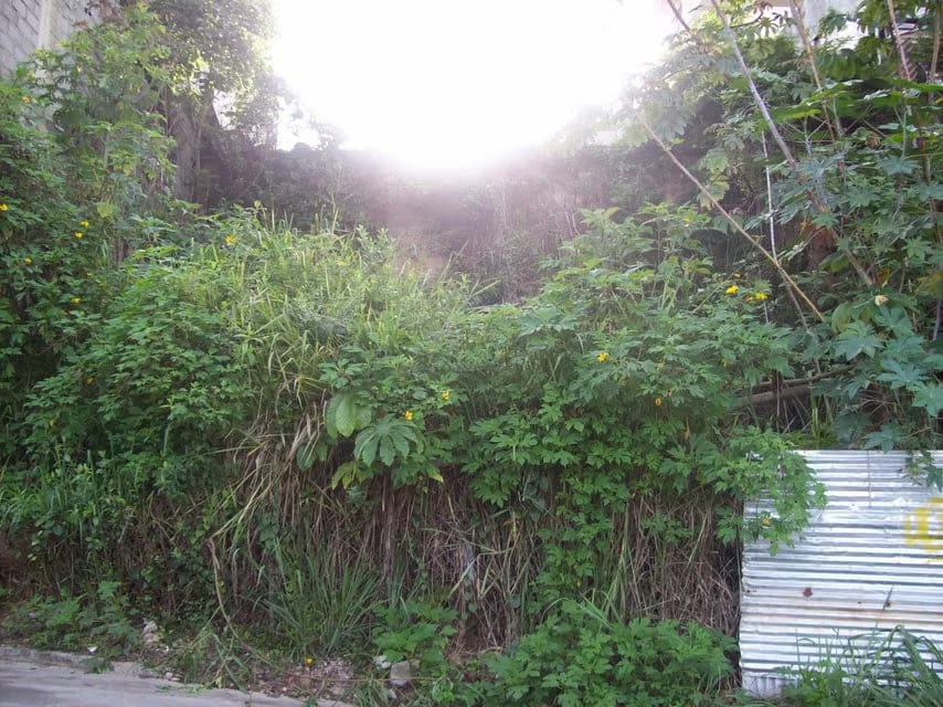 Terreno (Residencial) en Venta en Mariche, Distrito Metropolitano - 16