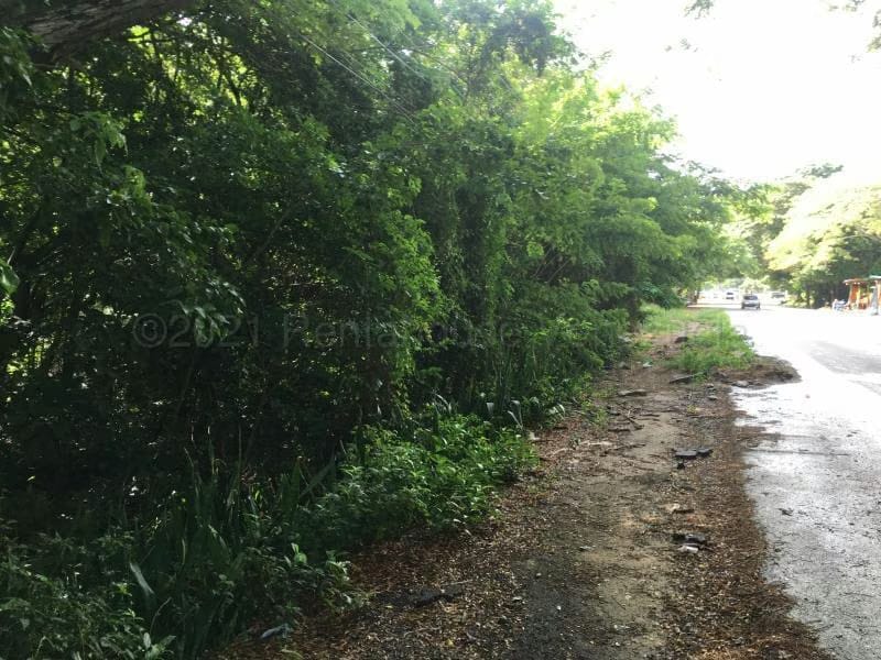 Terreno (Comercial) en Venta en La Asuncion, Nueva Esparta - 3