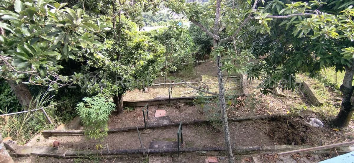 Casa (Multipes Niveles) en Venta en Los Pomelos, Distrito Metropolitano - 27