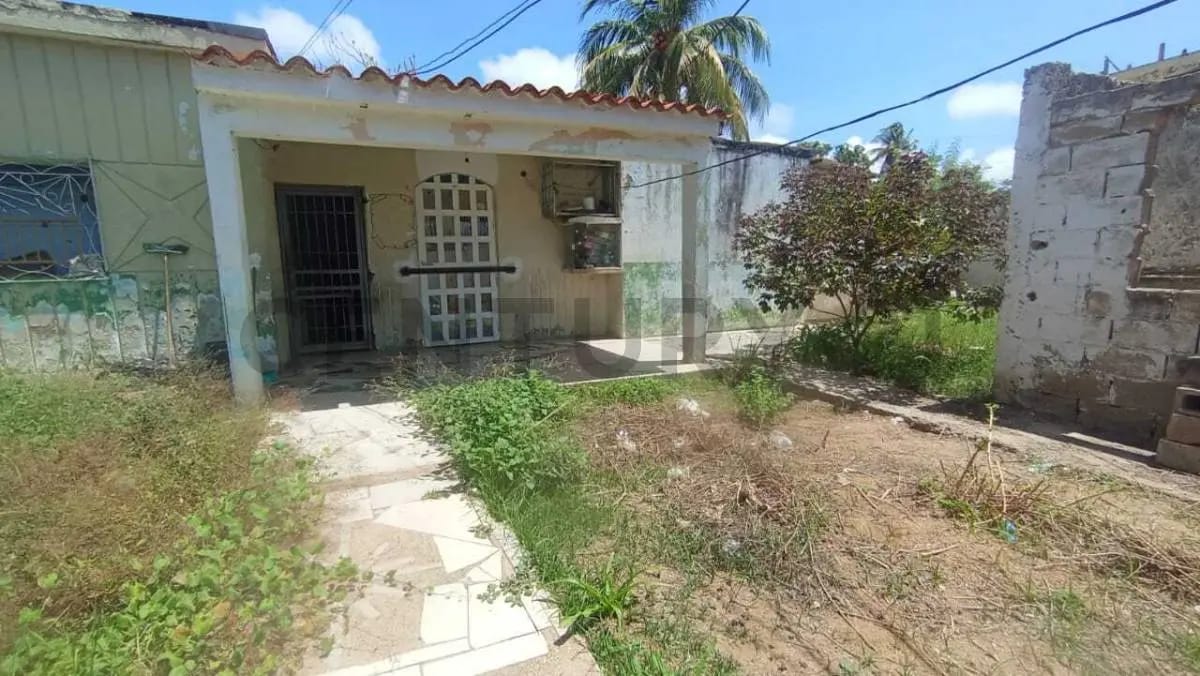 Terreno con bienhechuría - 3