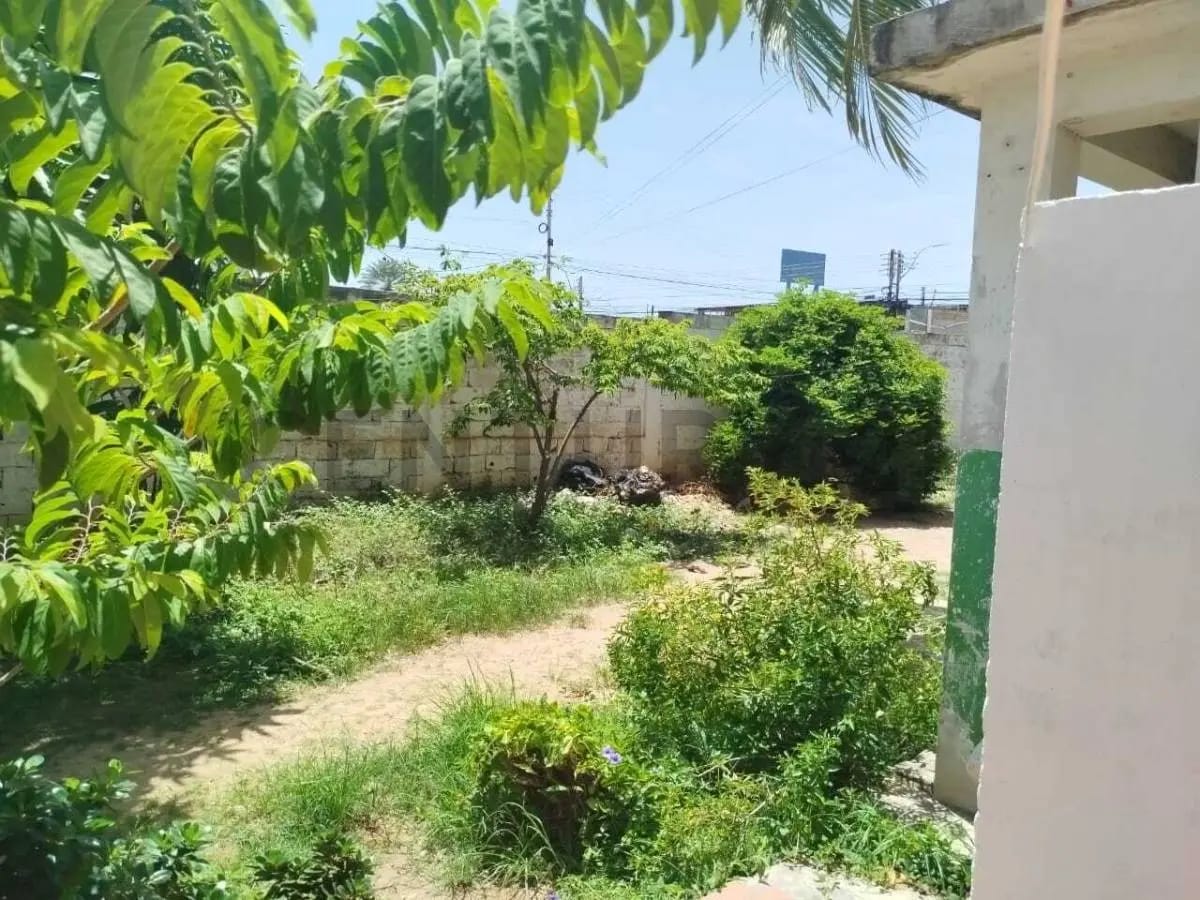 Terreno con bienhechuría - 10