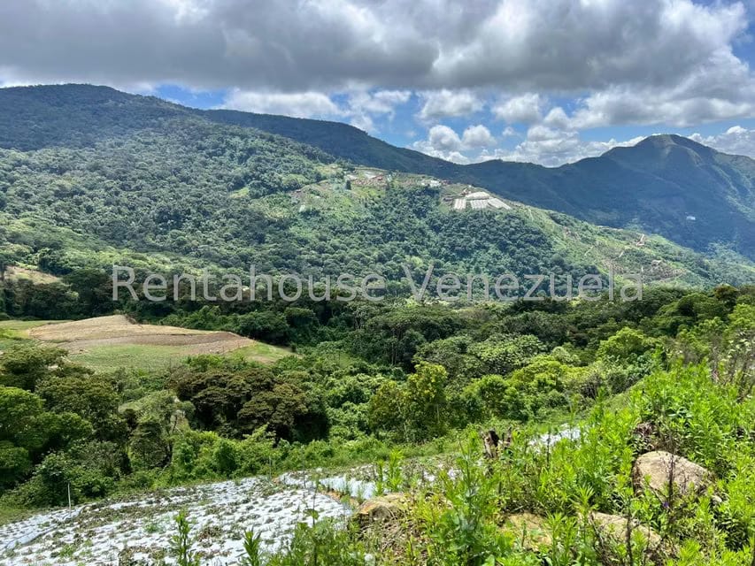 Terreno (Comercial) en Venta en La Colonia Tovar, Aragua - 15