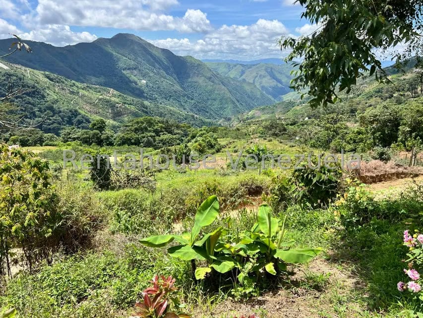 Terreno (Comercial) en Venta en La Colonia Tovar, Aragua - 20