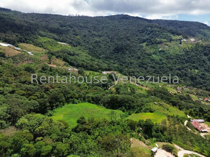 Terreno (Comercial) en Venta en La Colonia Tovar, Aragua - 27