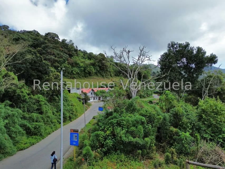 Terreno (Comercial) en Venta en La Colonia Tovar, Aragua - 30
