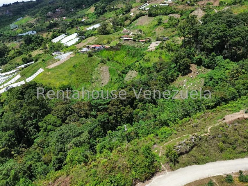 Terreno (Comercial) en Venta en La Colonia Tovar, Aragua - 31