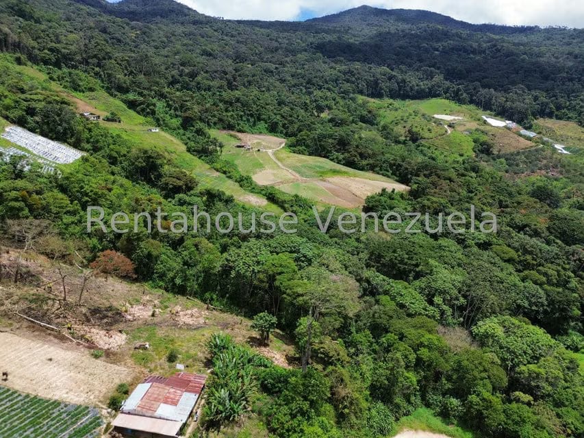 Terreno (Comercial) en Venta en La Colonia Tovar, Aragua - 32