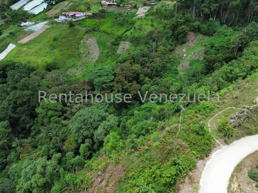 Terreno (Comercial) en Venta en La Colonia Tovar, Aragua - 38