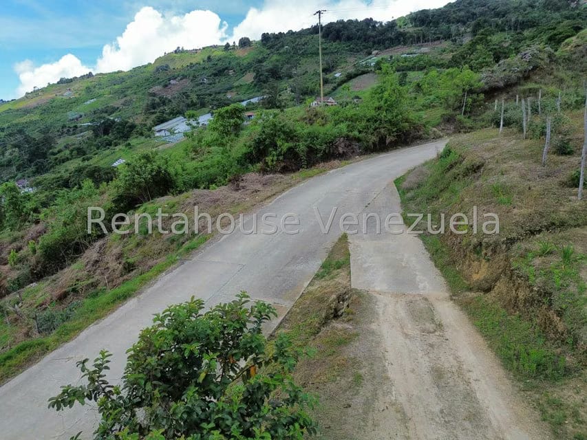 Terreno (Comercial) en Venta en La Colonia Tovar, Aragua - 40