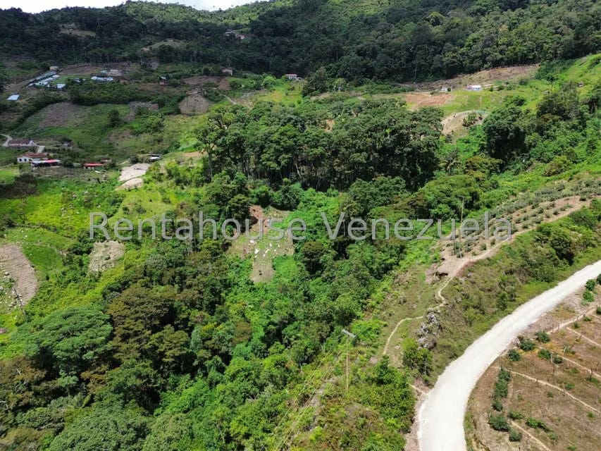 Terreno (Comercial) en Venta en La Colonia Tovar, Aragua - 5