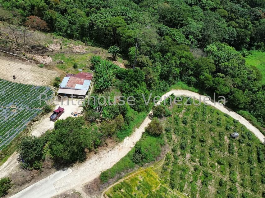 Terreno (Comercial) en Venta en La Colonia Tovar, Aragua - 42