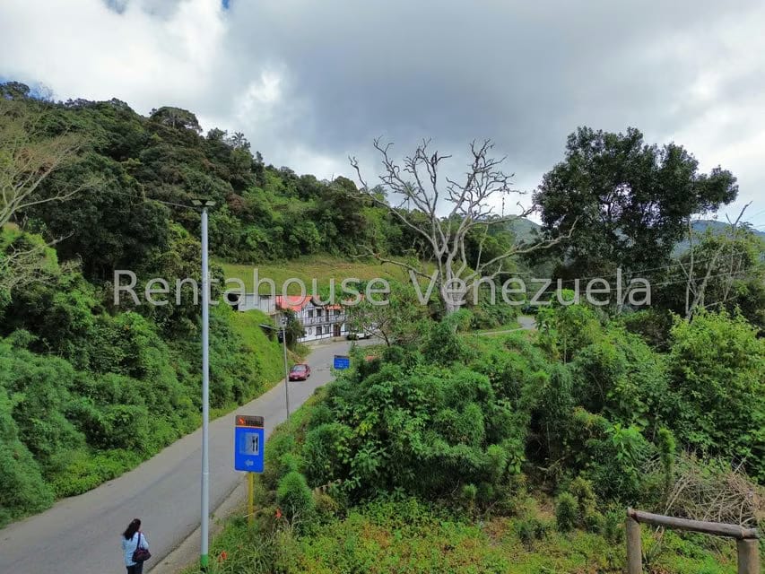 Terreno (Comercial) en Venta en La Colonia Tovar, Aragua - 44